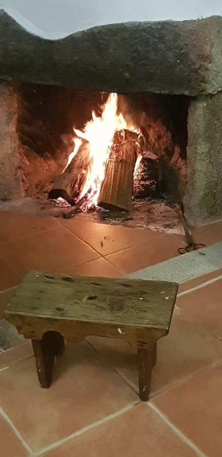 Pensjonat Quinta Damigo Seia Zewnętrze zdjęcie
