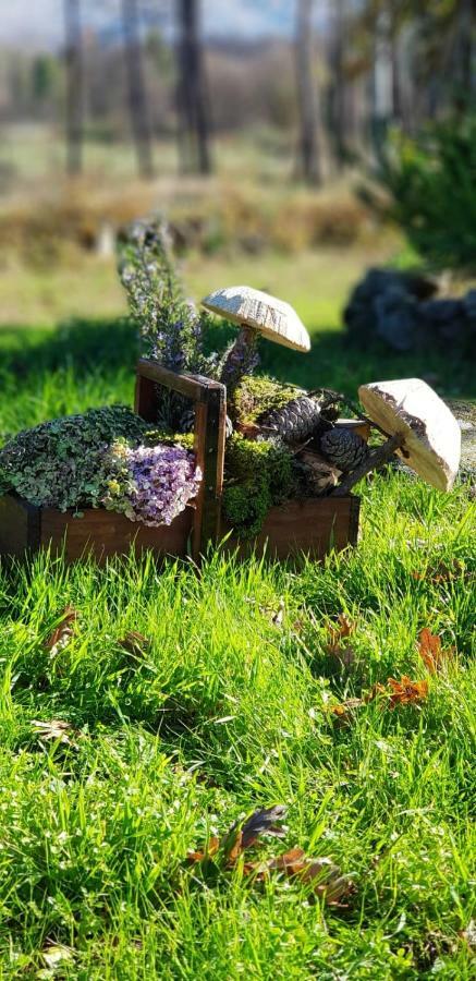 Pensjonat Quinta Damigo Seia Zewnętrze zdjęcie