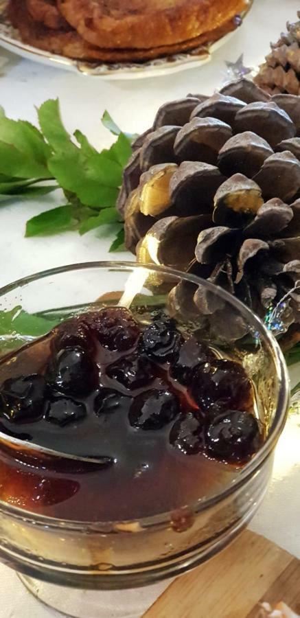 Pensjonat Quinta Damigo Seia Zewnętrze zdjęcie